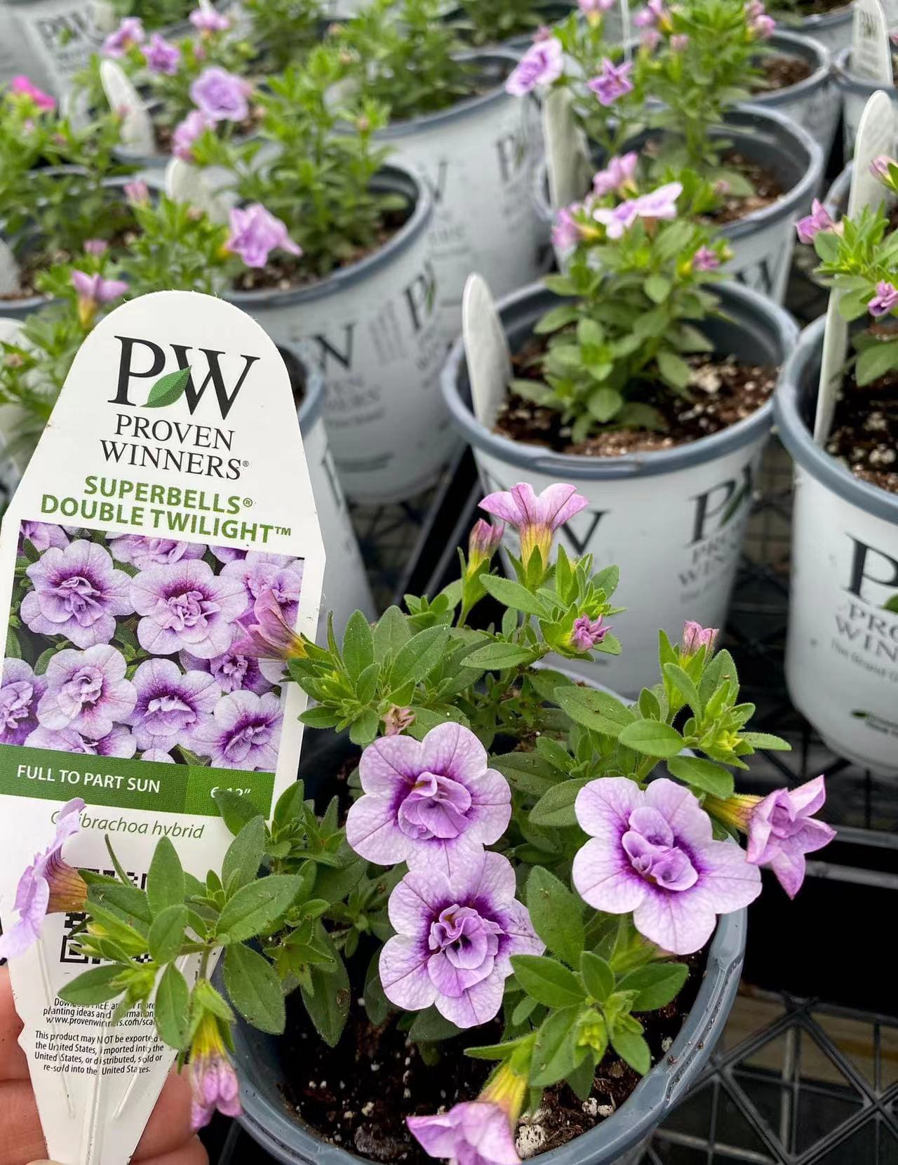 微信图片_20220512233309