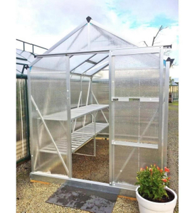 Growing System Greenhouse for Vegetable (RDGU0808-6mm)