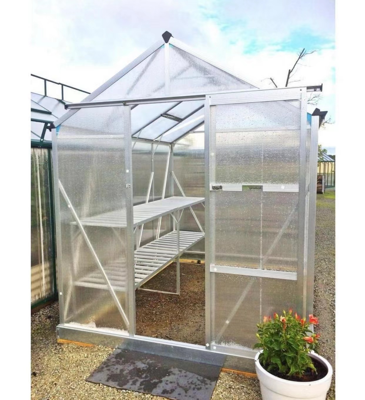 Growing System Greenhouse for Vegetable (RDGU0808-6mm)