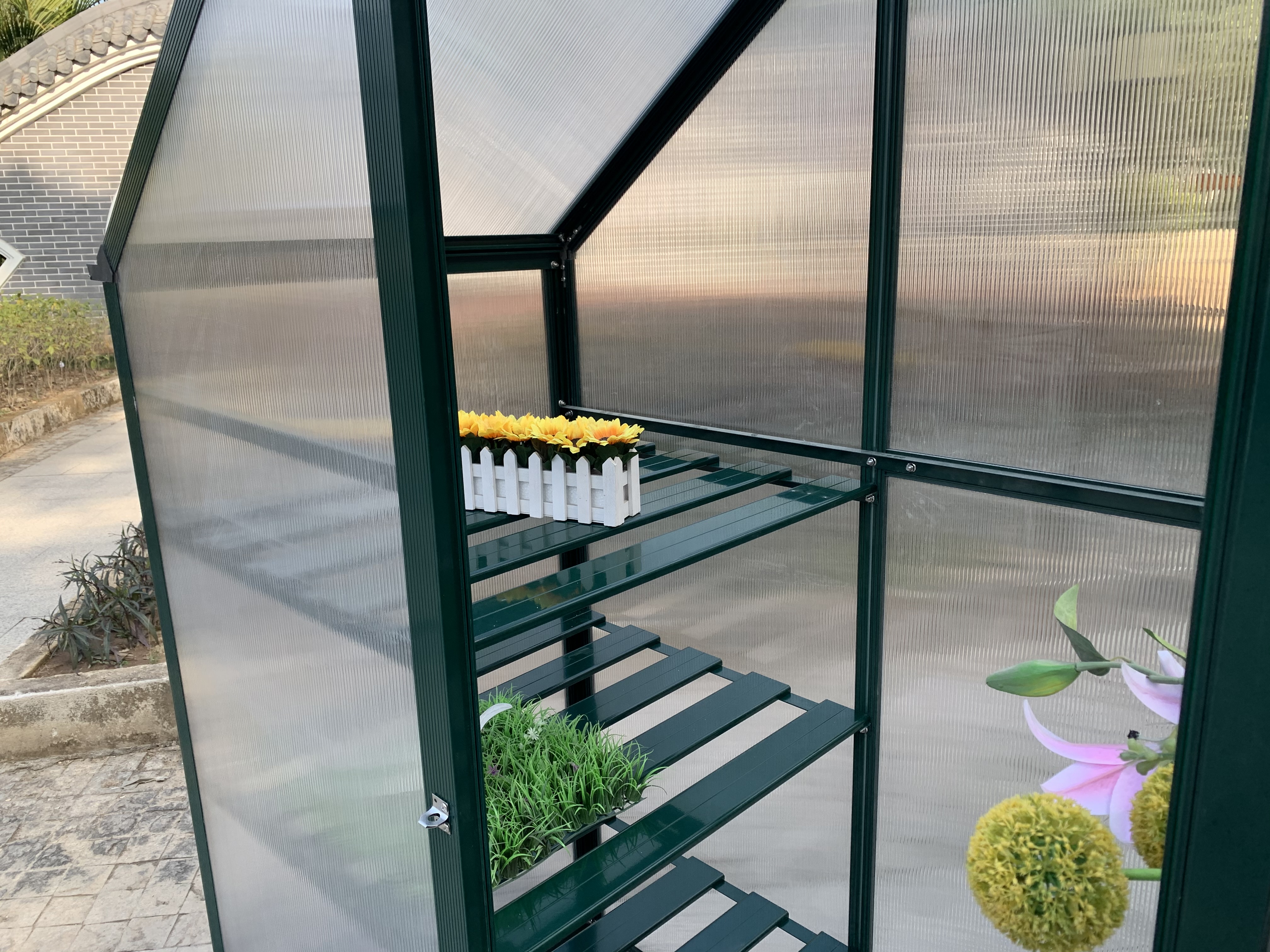 Plastic Polycarbonate Sheet Greenhouse with Single Sliding Door Hobby Greenhouse Rdga0602 -6mm