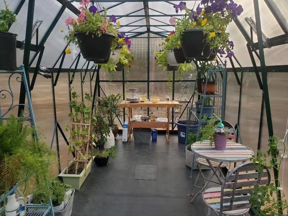 Superior Summit Greenhouse for Outdoor Gardening Use Garden House Rdgu0816h-10mm