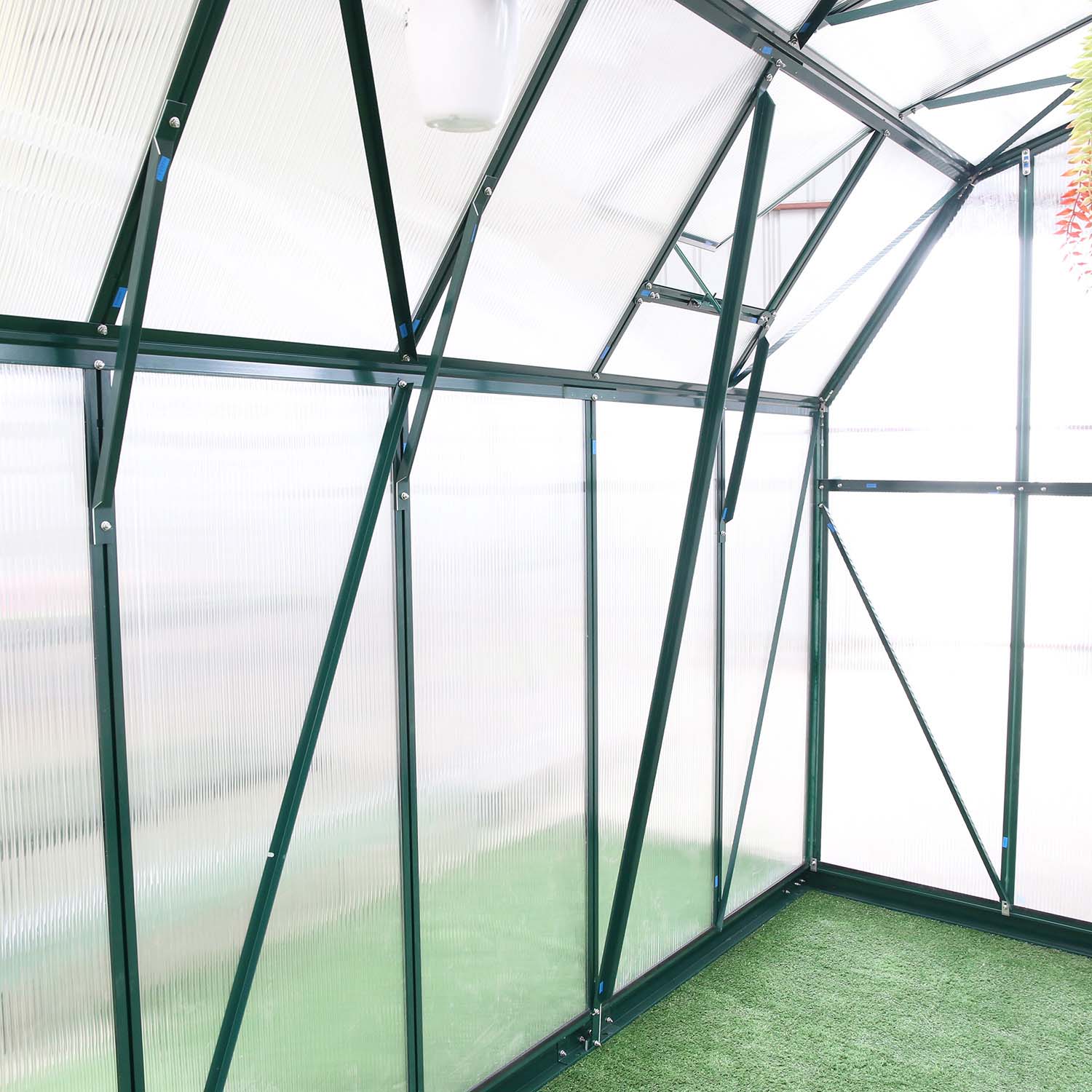 Polycarbonate Greenhouse For Vegetables Used (RDGU0808-10mm)