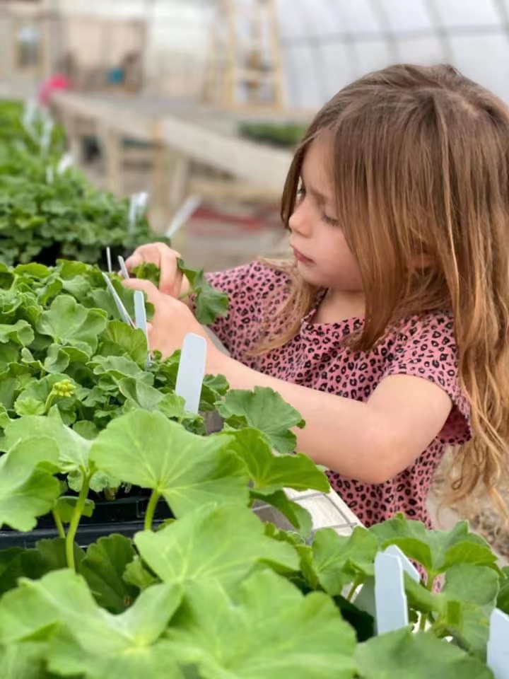 Tips for your home gardening